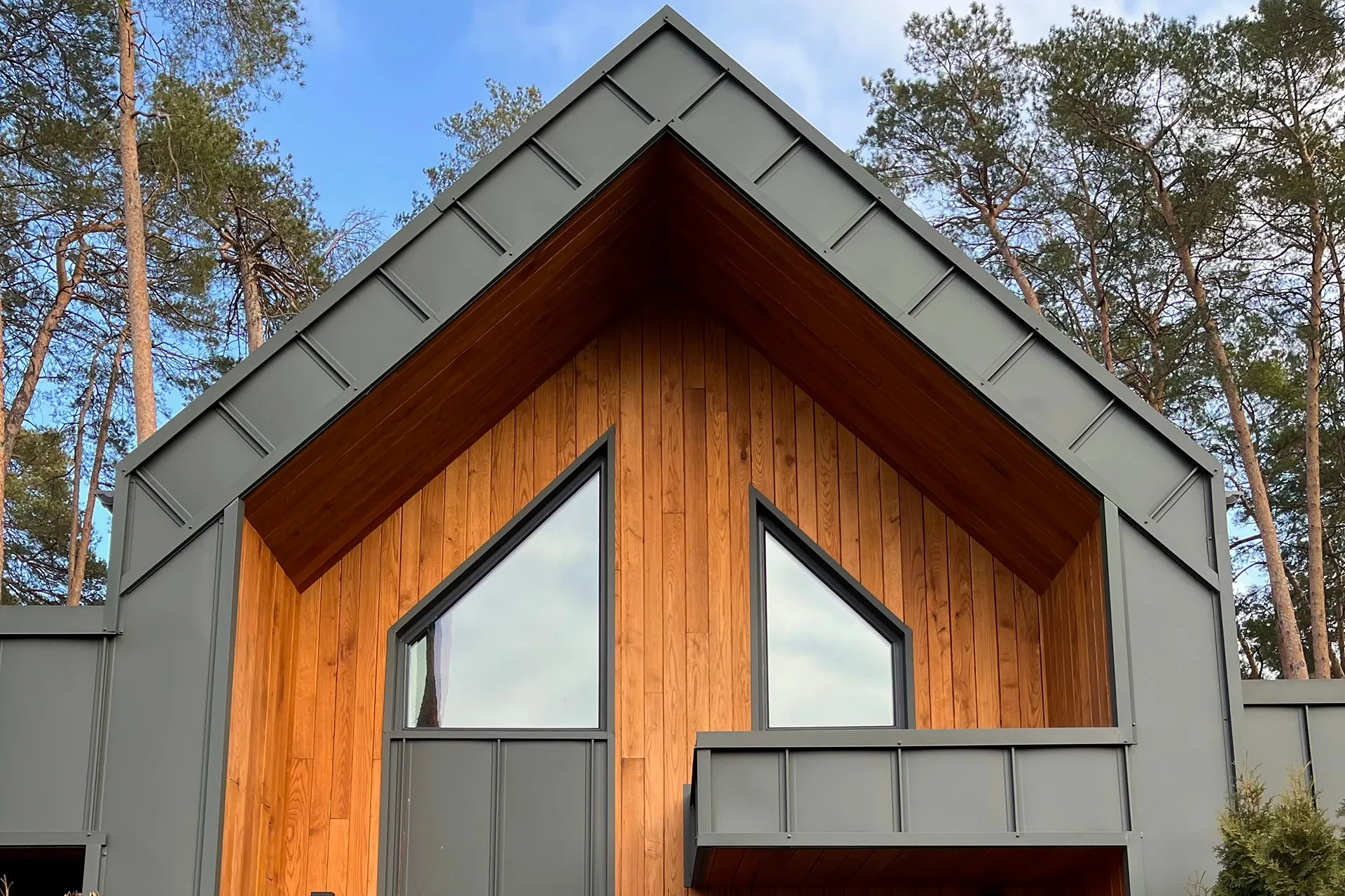 Holzhaus mit moderner Fassade